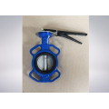 Butterfly Valve for Paper and Pulp Industrial